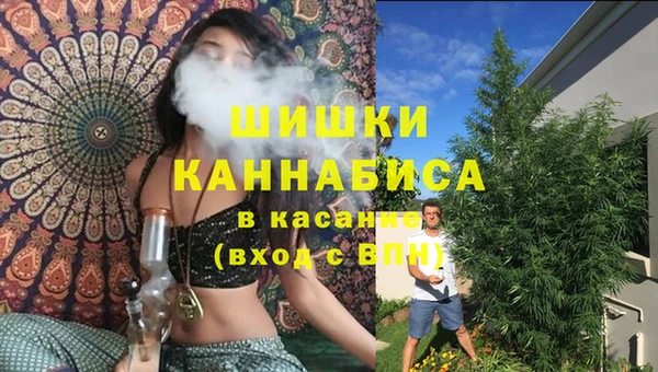 бошки Аркадак