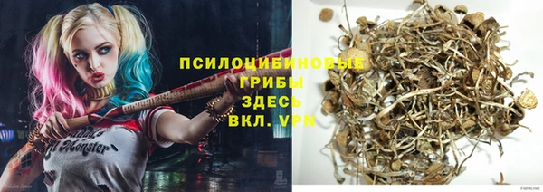 бошки Аркадак